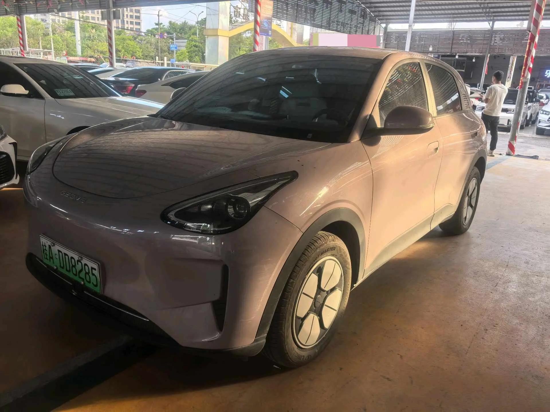 Star Wish 2025 310km Youth Edition