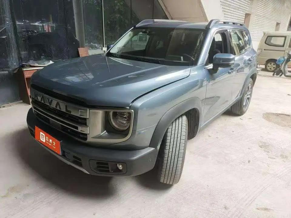 Haval 2024 Dog 1.5T Border Collie Edition Automatic
