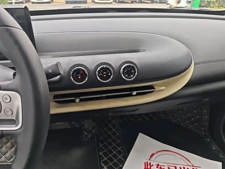 WuLing Plantronics 2023 203km Light Enjoy 11
