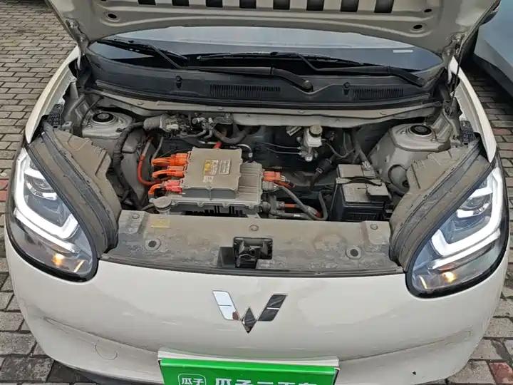 WuLing Plantronics 2023 203km Light Enjoy 18