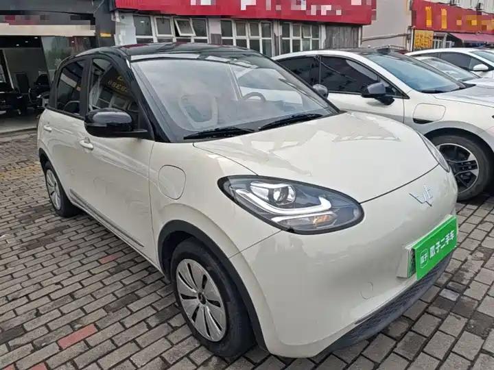 WuLing Plantronics 2023 203km Light Enjoy 3