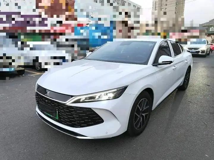 Qin L 2024 DM-i 80KM Exceed