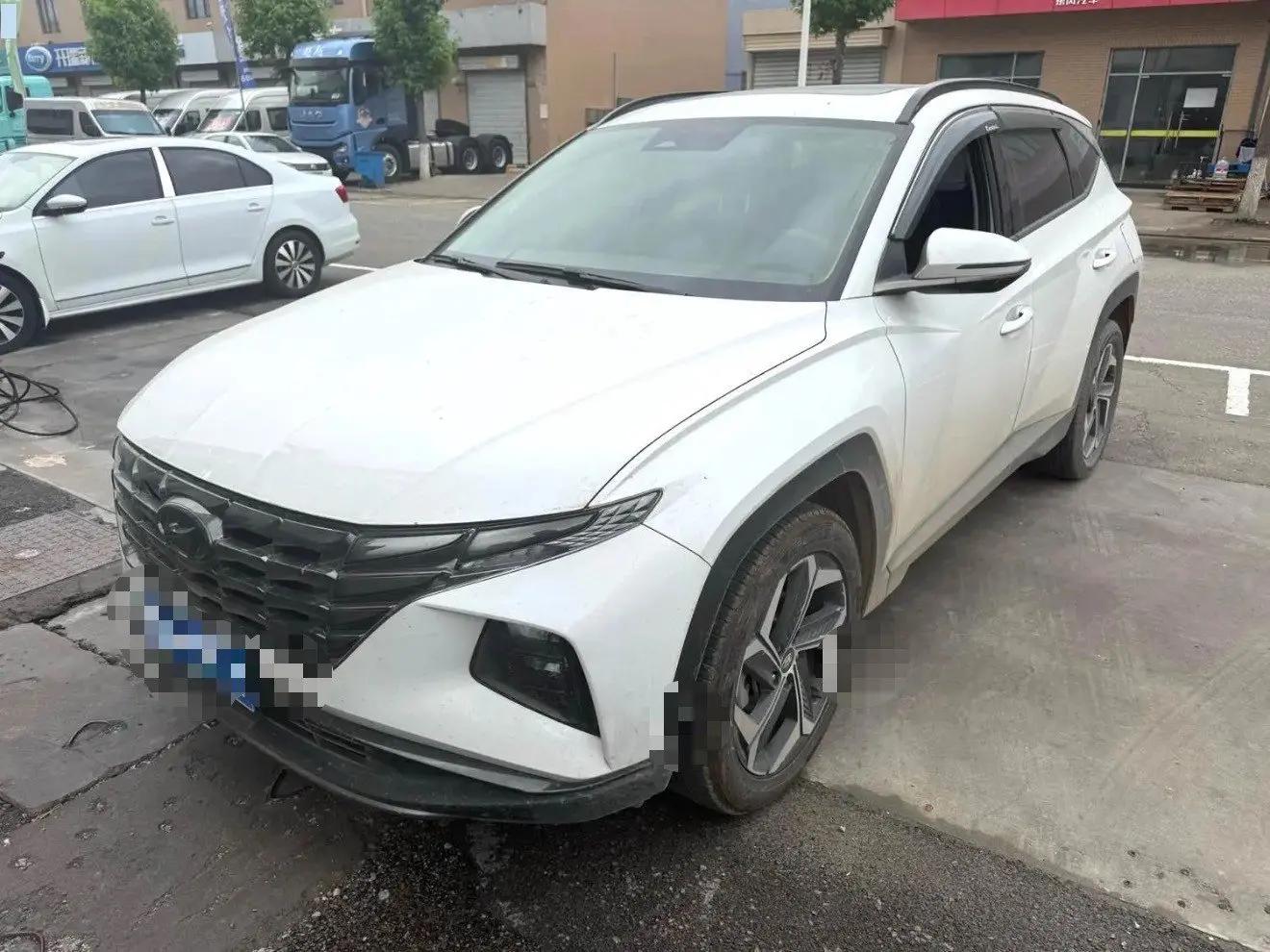 Tousheng 2021 Tousheng L 1.5T LUX Premium Edition