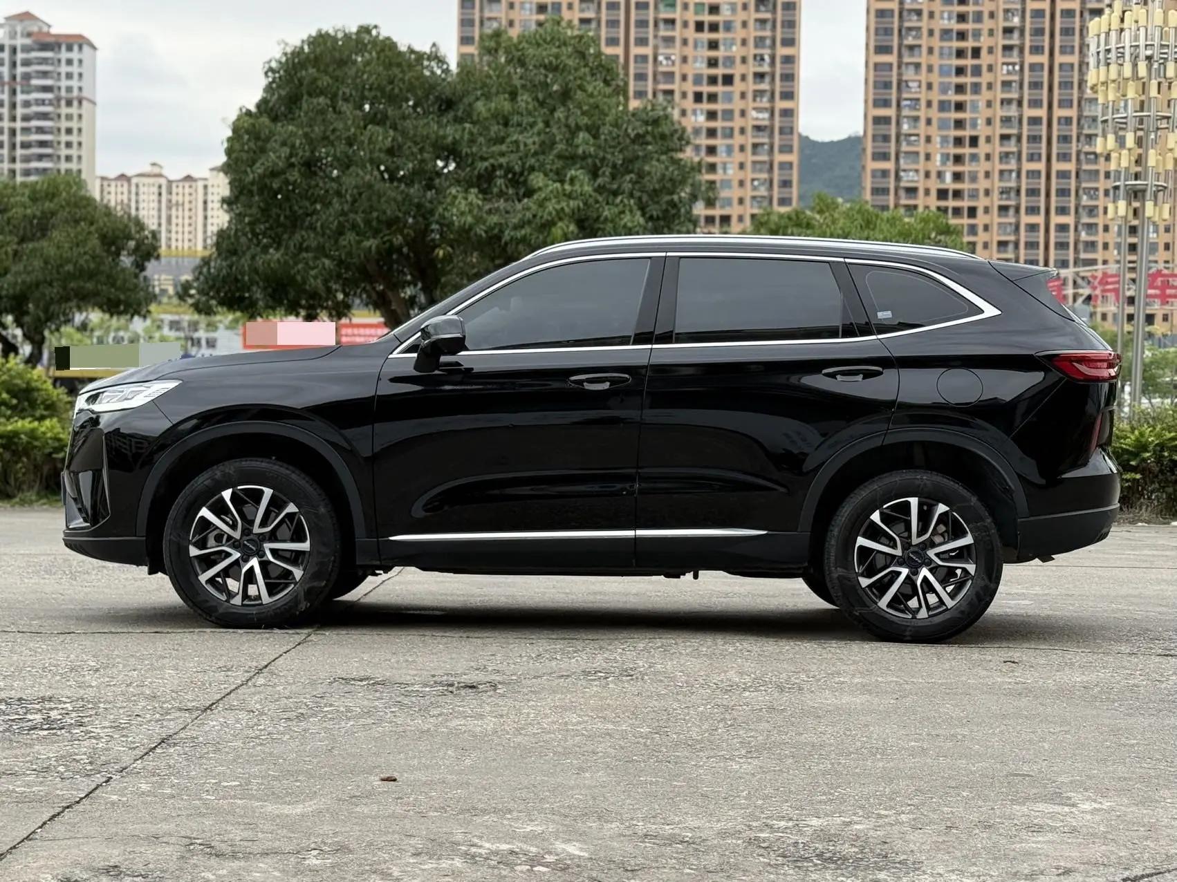 Haval 2022 H6 1.5T Two-Wheel Drive Pro Automatic 8