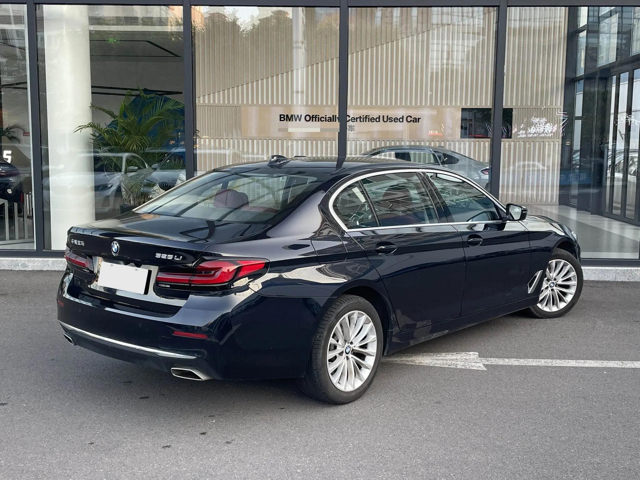 BMW 5 Series 2022 Modified 2 525Li Deluxe Suit 5