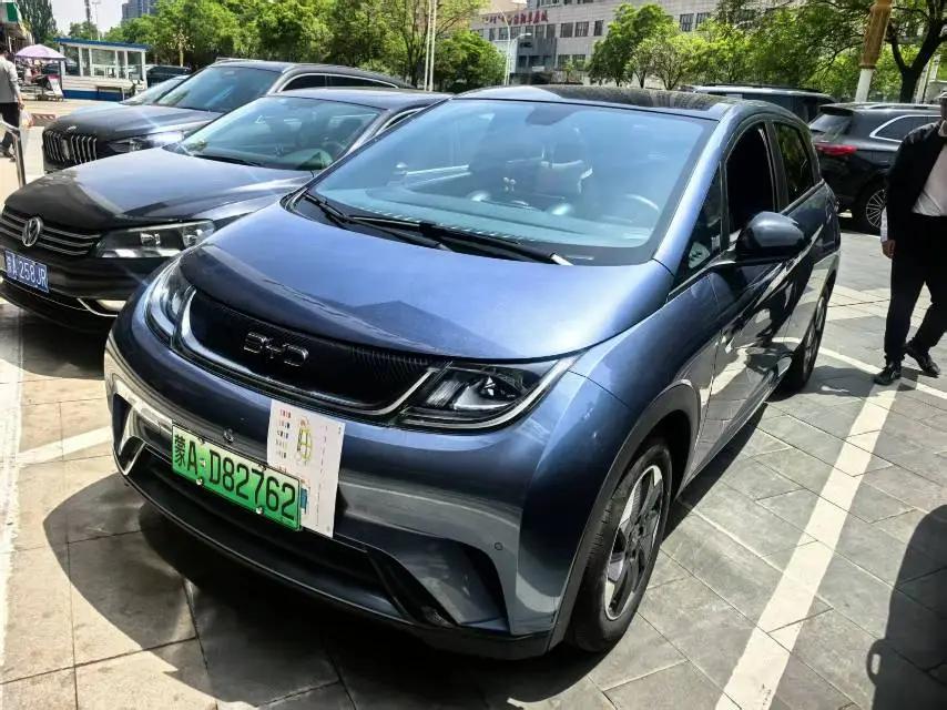 BYD 2025 Dolphin 420km Fashion Edition Automatic