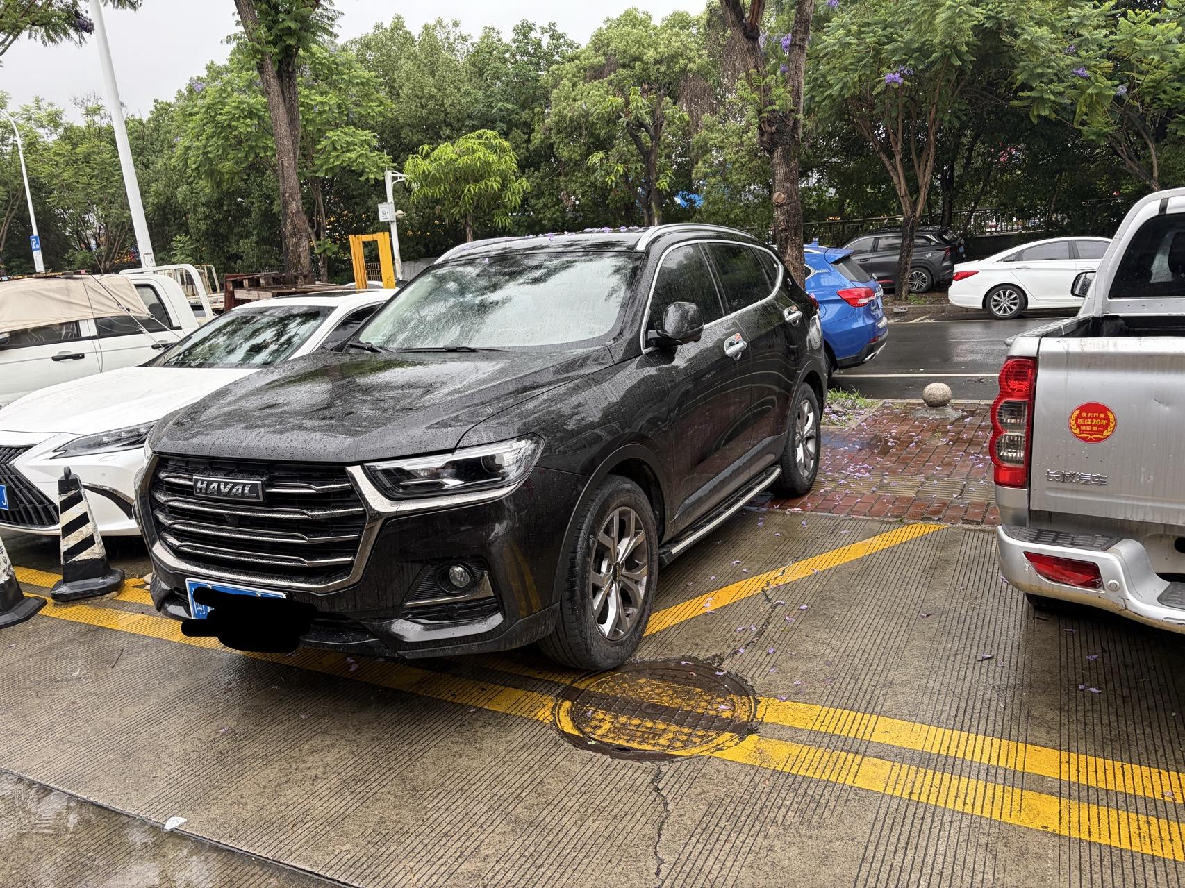 Haval H6 2021 National Tide Edition 1.5T Auto Champion Edition