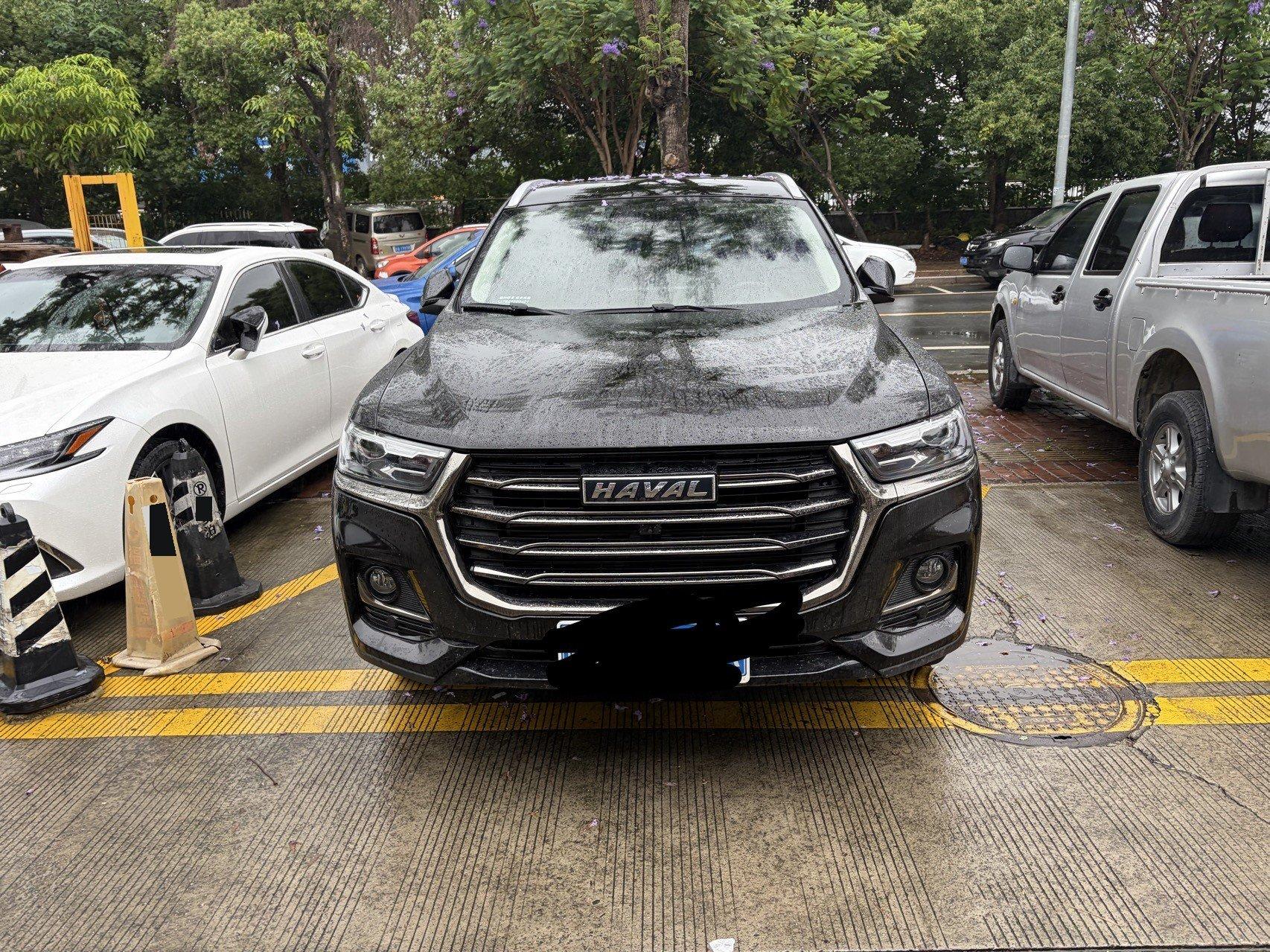 Haval H6 2021 National Tide Edition 1.5T Auto Champion Edition 2
