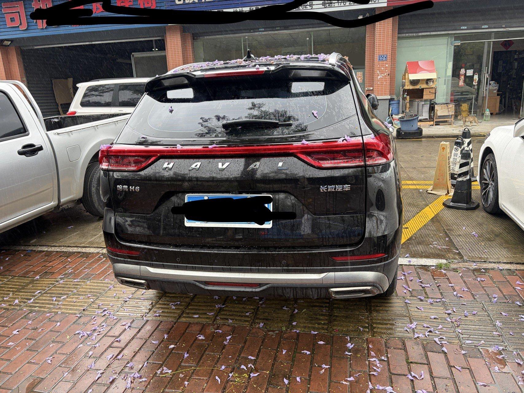 Haval H6 2021 National Tide Edition 1.5T Auto Champion Edition 4