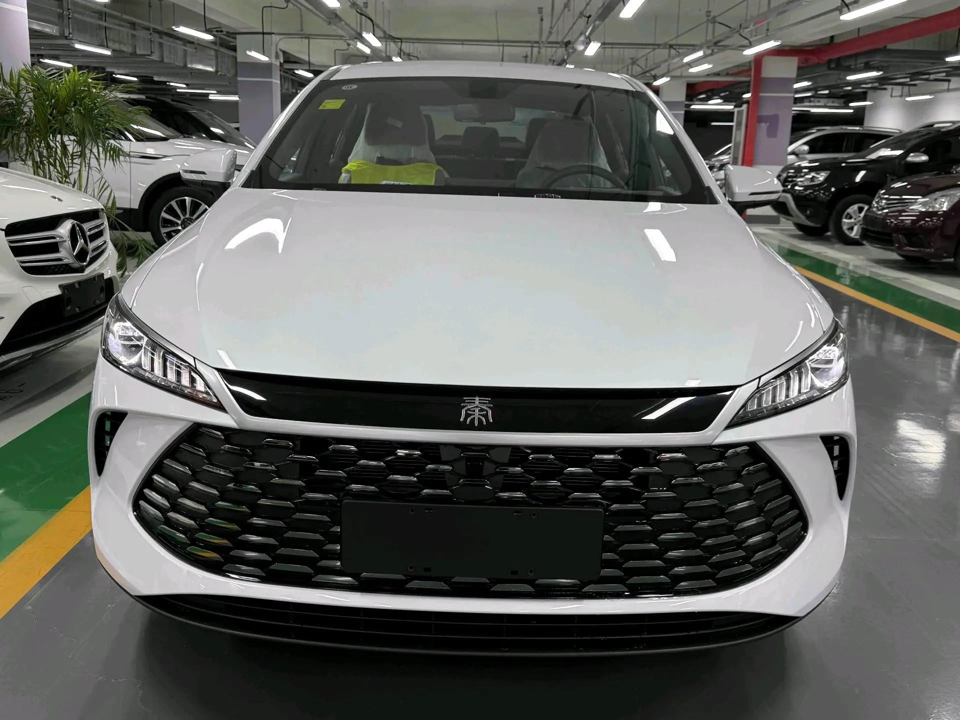 Seal 05 DM-i 2025 DM-i Smart Driving 55KM Luxury 3