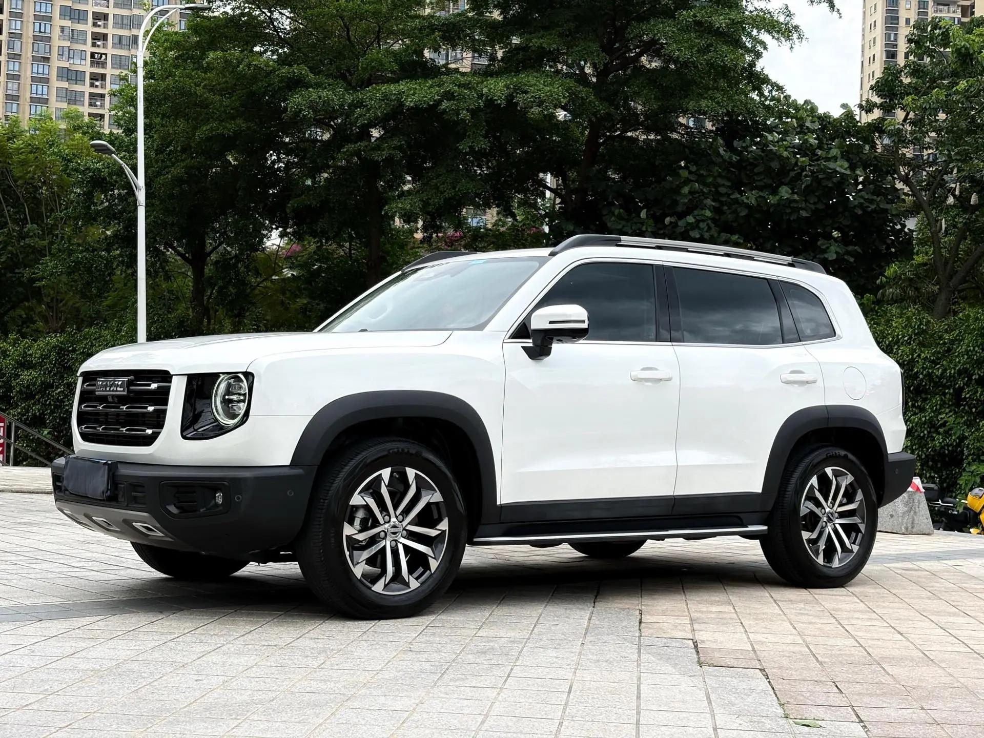 Haval Big Dog 2021 1.5T DCT Two-Drive Horse Dog-Wangcai Edition