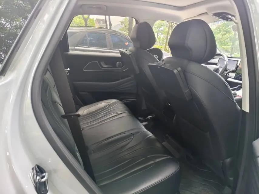 Fengyun T9 2024 120 Long Life Edition Standard 5-seat 9
