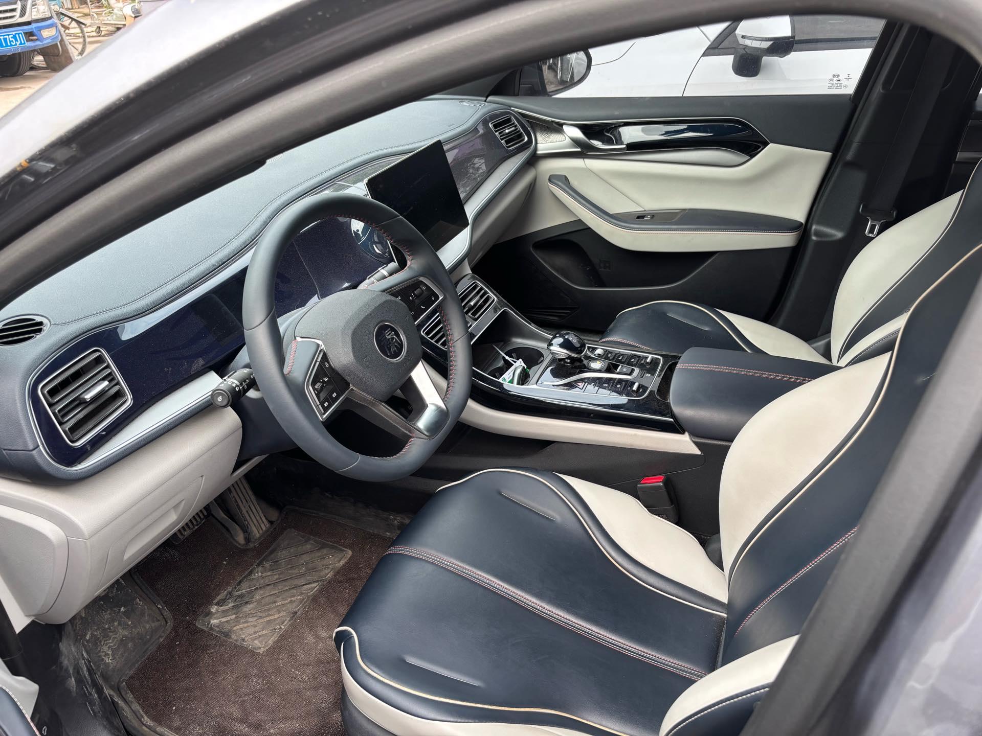 Qin PLUS 2021 DM-i 55KM flagship 8