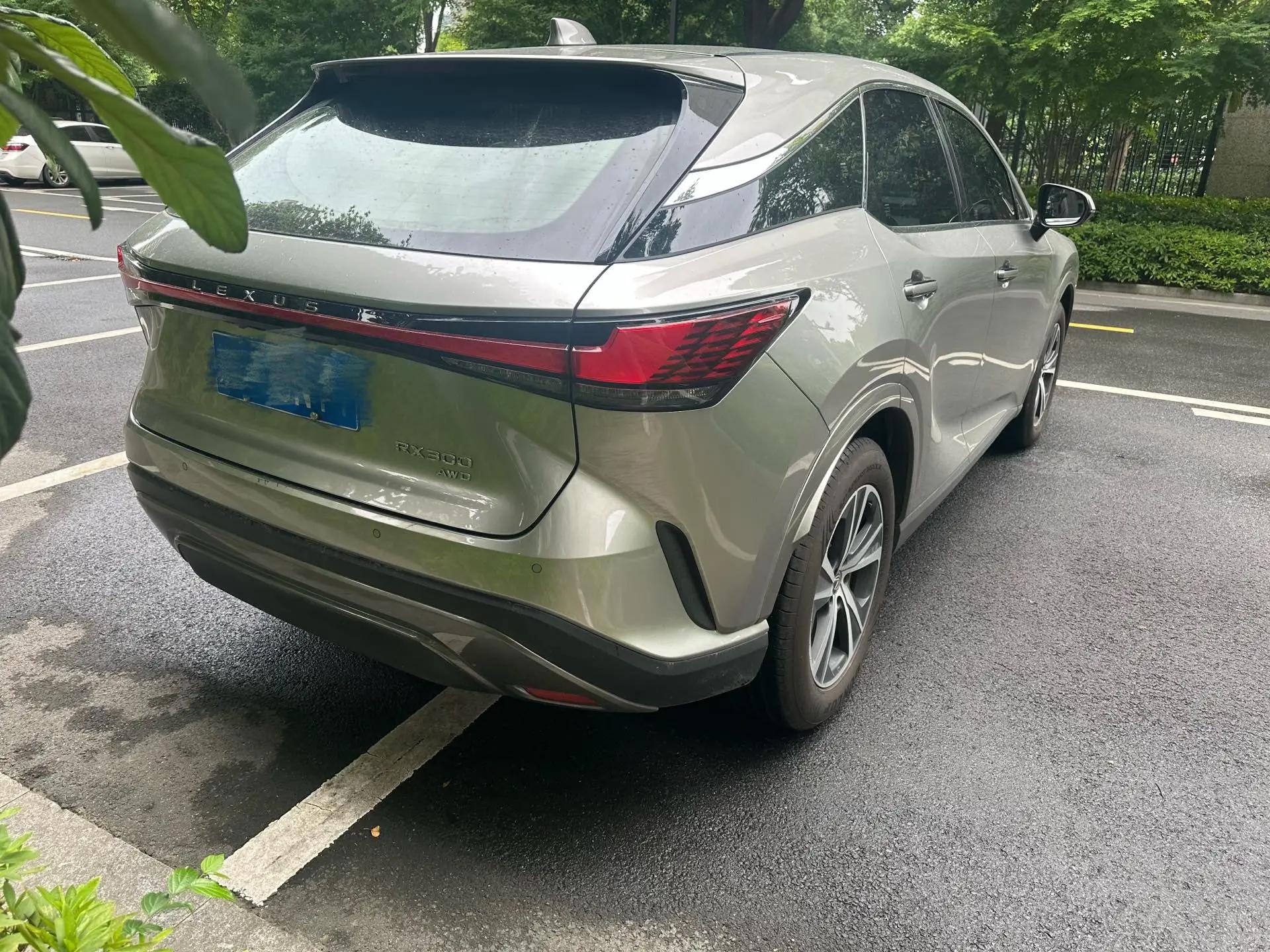 Lexus RX (Imported) 2024 RX300 2.0T Four-wheel Drive Edition Automatic Gear 4