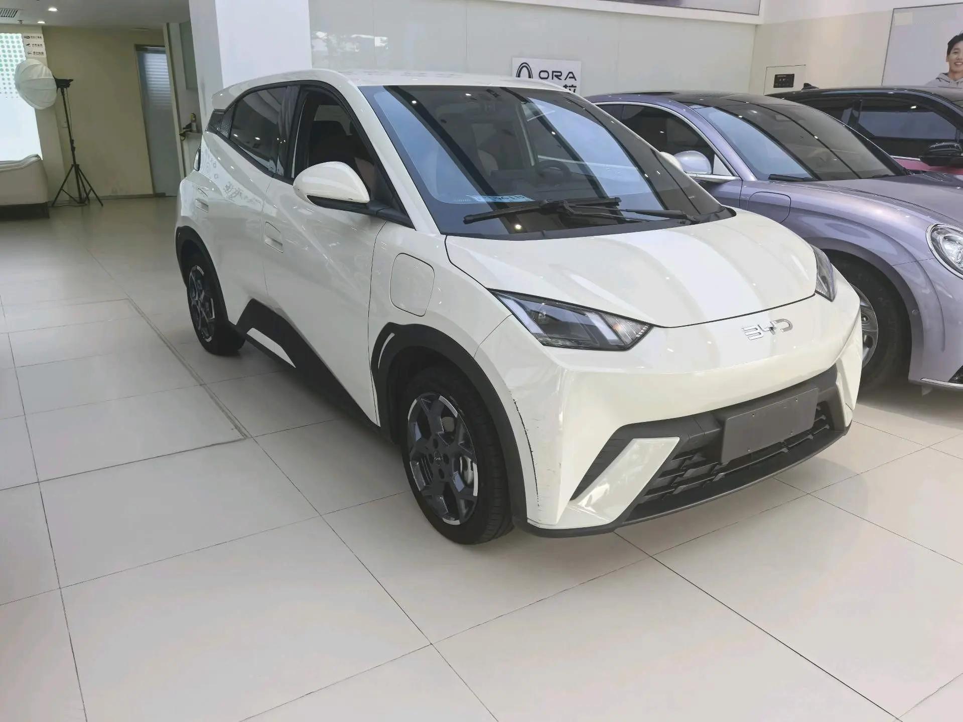 BYD 2025 Seagull 405km Flying Edition Automatic Gear 3