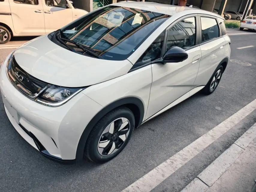 BYD 2025 Dolphin 420km Freedom Edition Automatic