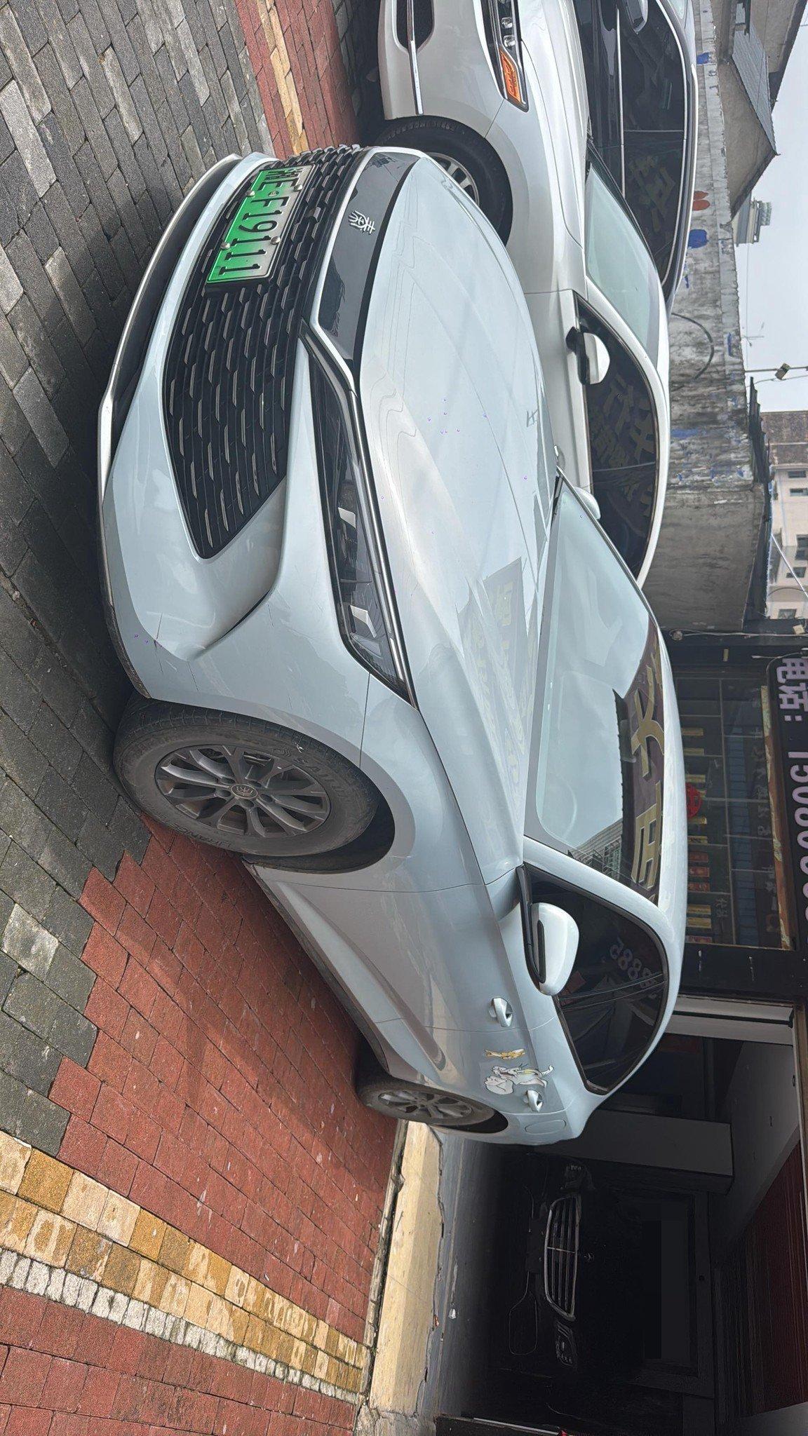Qin L 2024 DM-i 80km Leading Edition