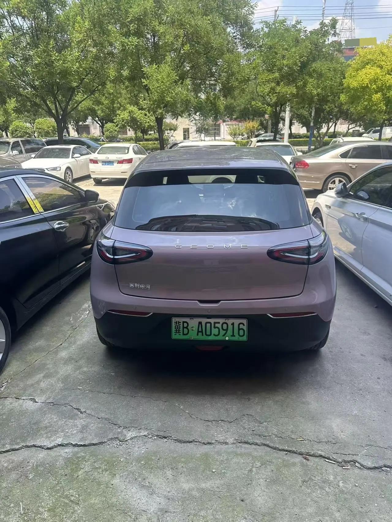 Star Wish 2025 310km Youth Edition 6