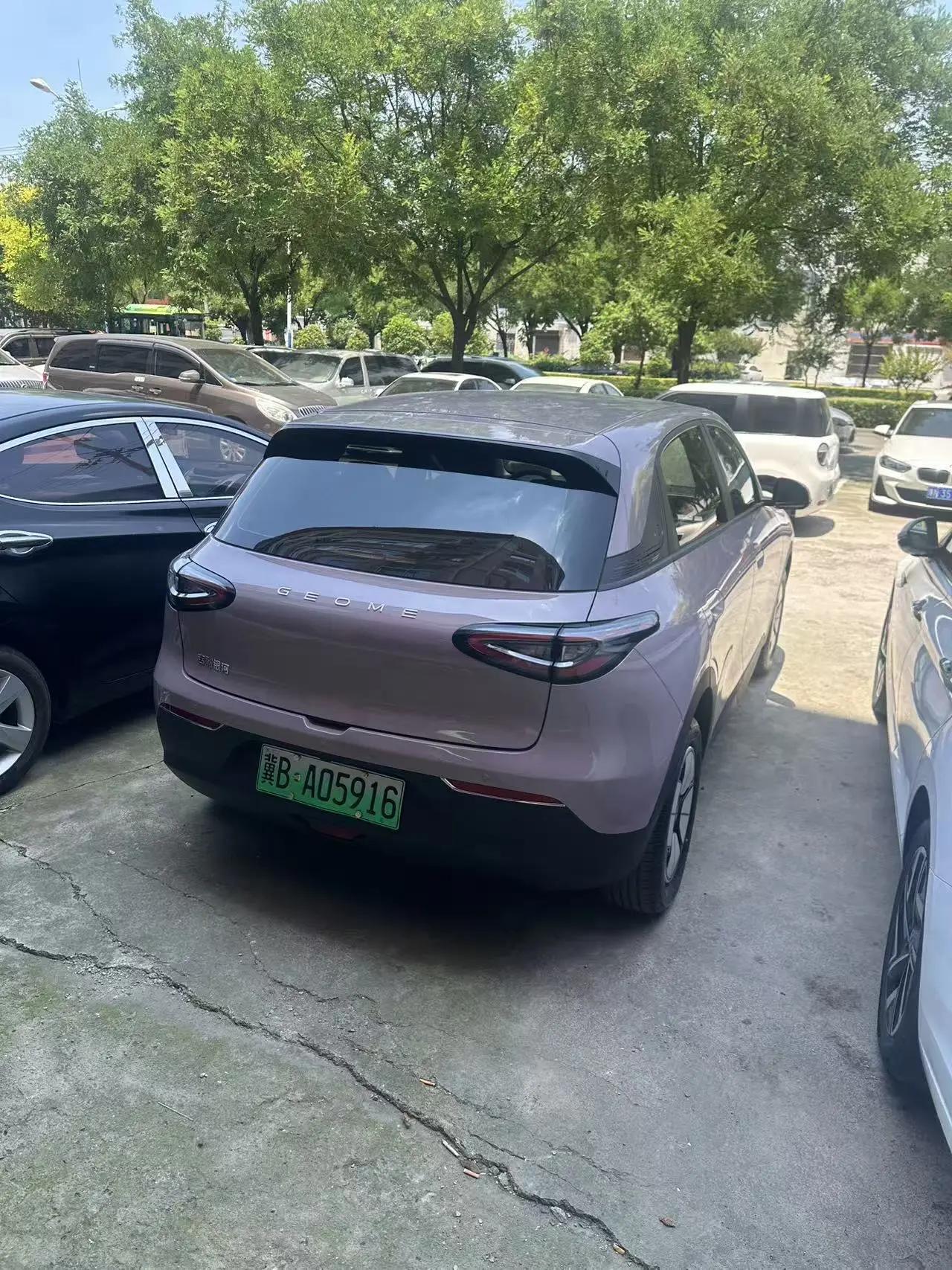Star Wish 2025 310km Youth Edition 7