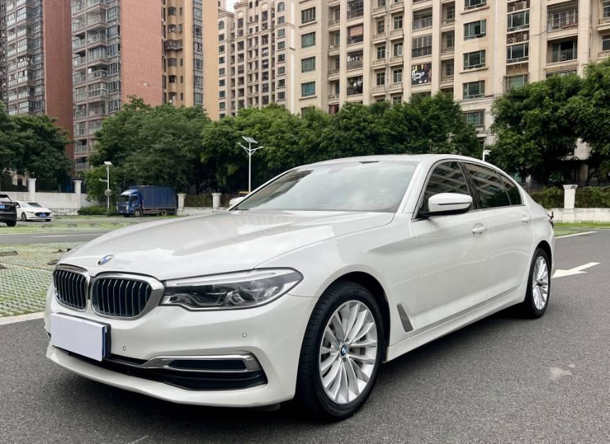 BMW 5 Series 2020 530Li Leading Luxury Suit