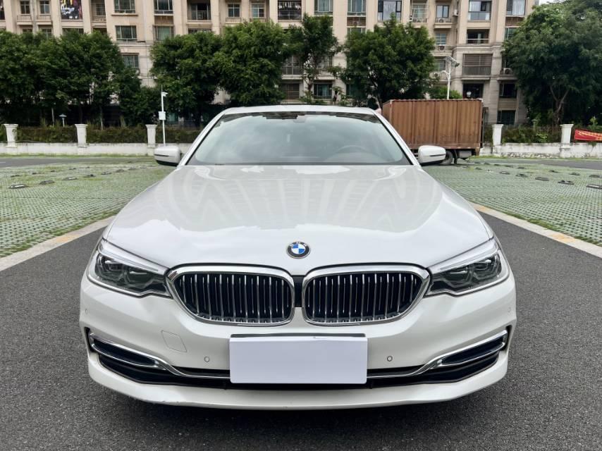 BMW 5 Series 2020 530Li Leading Luxury Suit 2