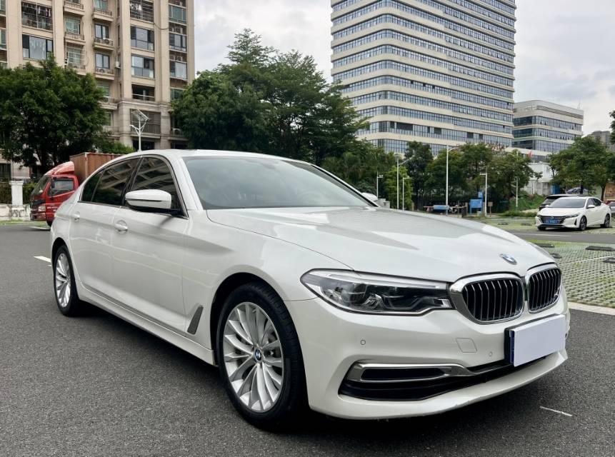 BMW 5 Series 2020 530Li Leading Luxury Suit 3