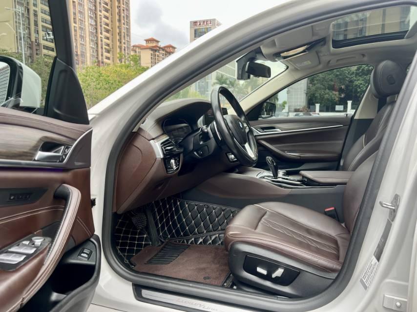 BMW 5 Series 2020 530Li Leading Luxury Suit 4