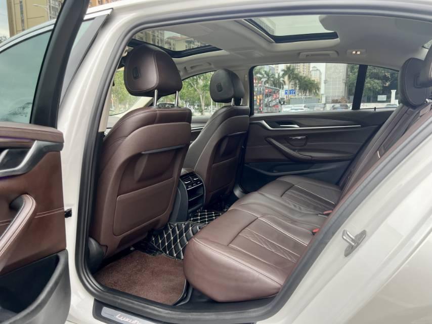 BMW 5 Series 2020 530Li Leading Luxury Suit 6