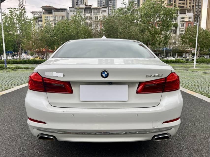 BMW 5 Series 2020 530Li Leading Luxury Suit 8