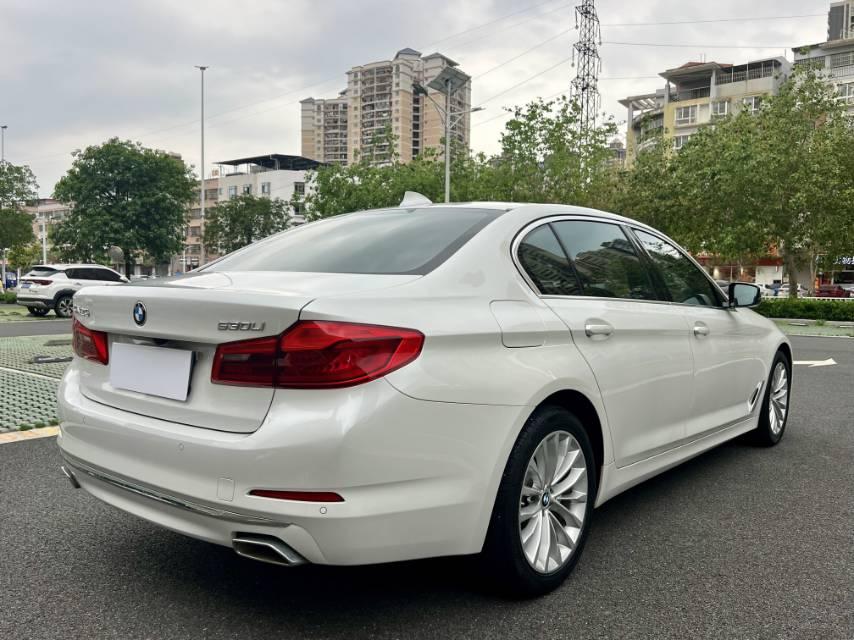 BMW 5 Series 2020 530Li Leading Luxury Suit 9
