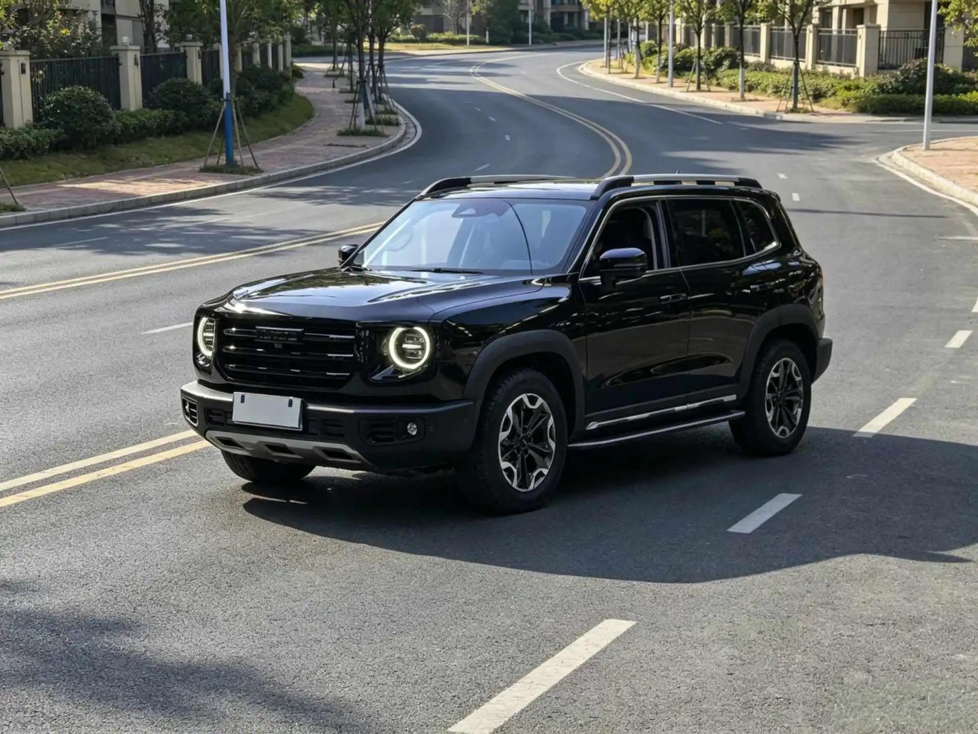Haval big dog 2021 2.0T DCT four-wheel drive asthma dog version
