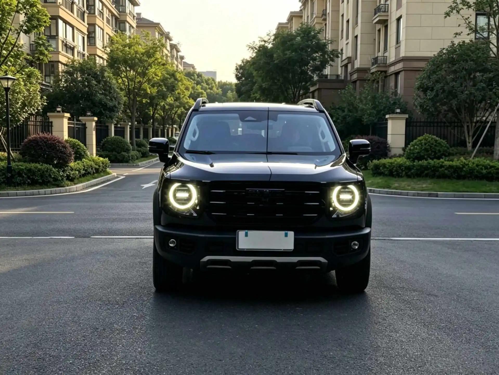 Haval big dog 2021 2.0T DCT four-wheel drive asthma dog version 2
