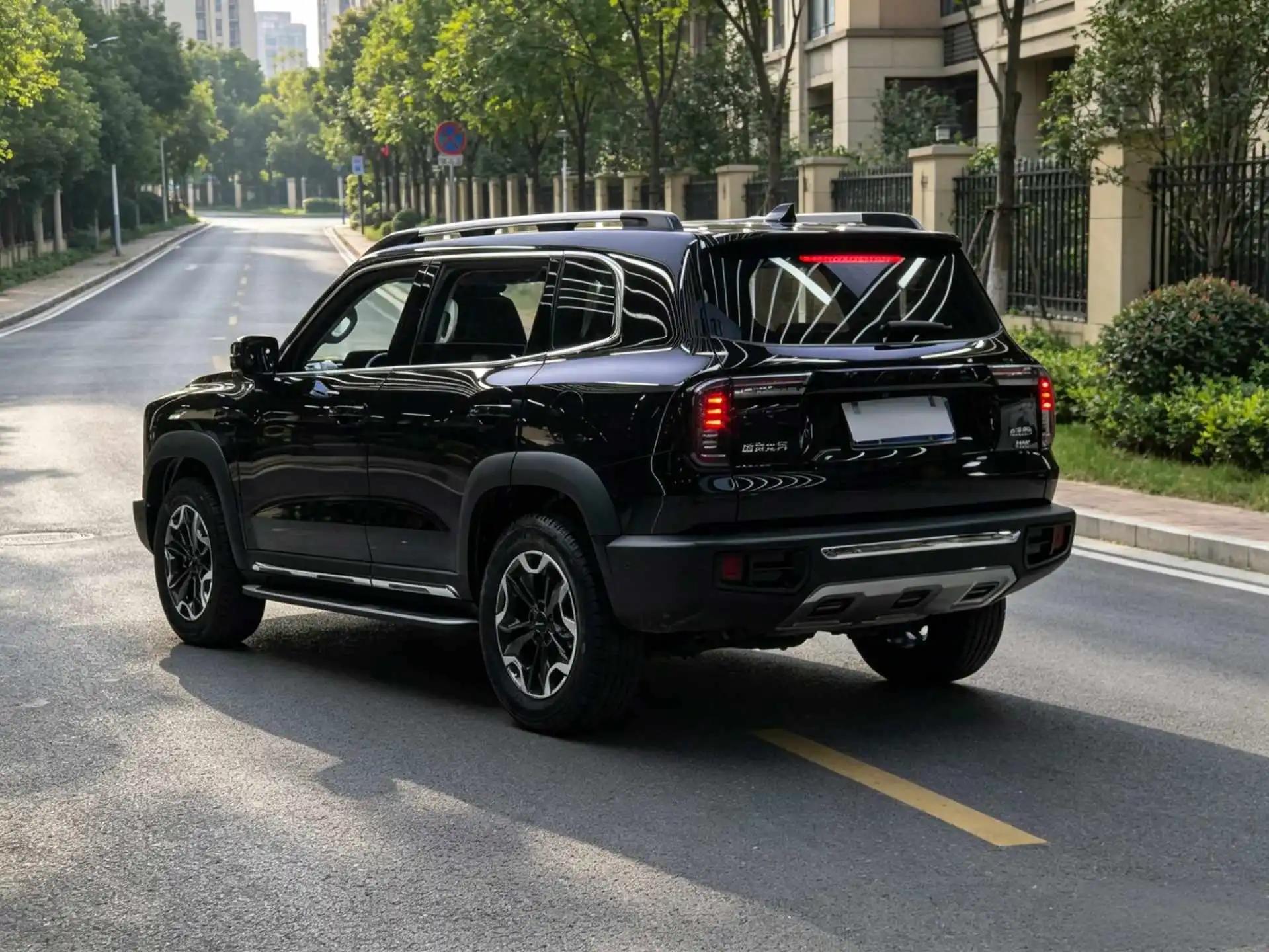 Haval big dog 2021 2.0T DCT four-wheel drive asthma dog version 6