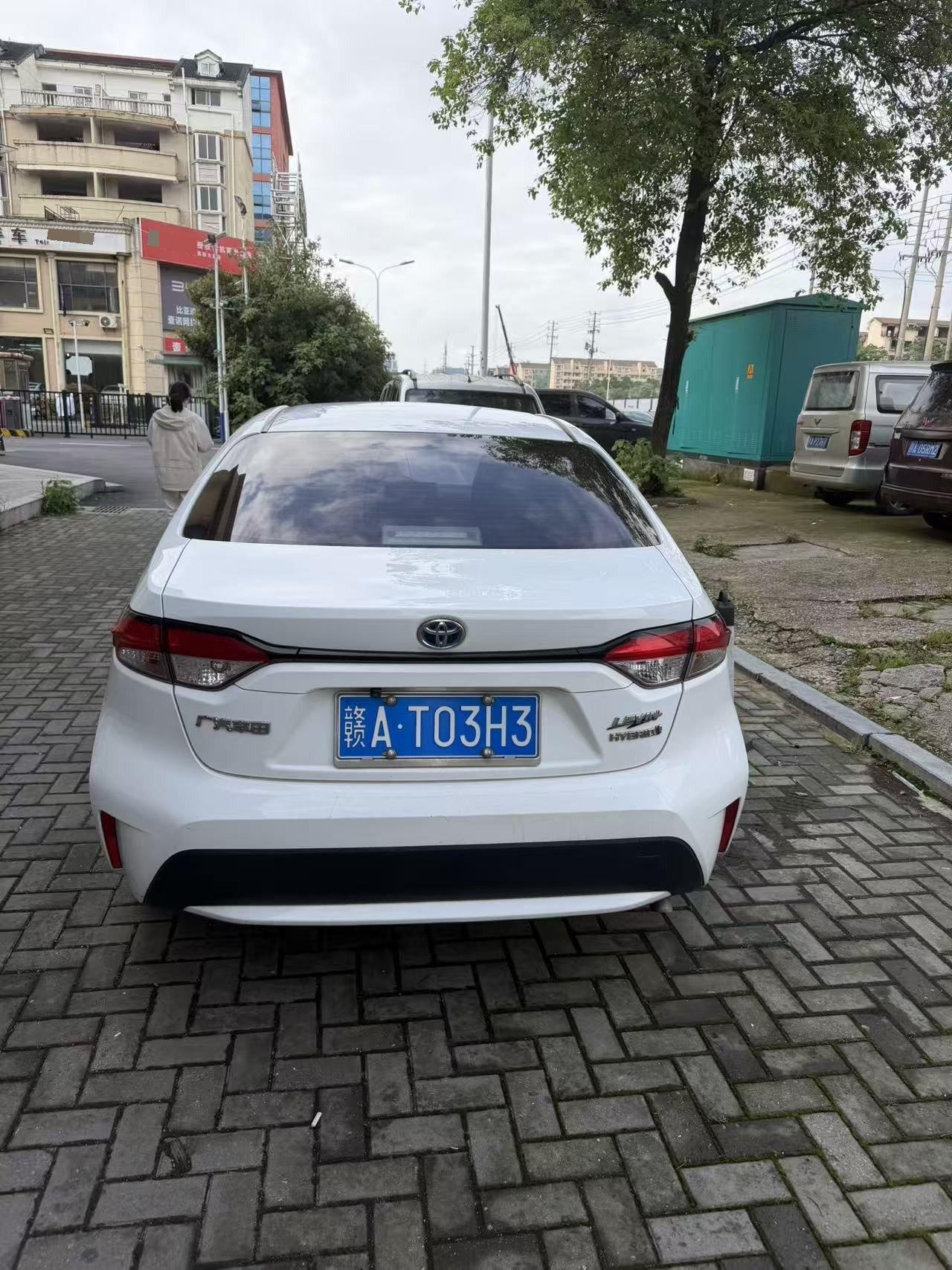 Lei Ling 2022 Double Engine 1.8H E-CVT Enterprising Edition 6