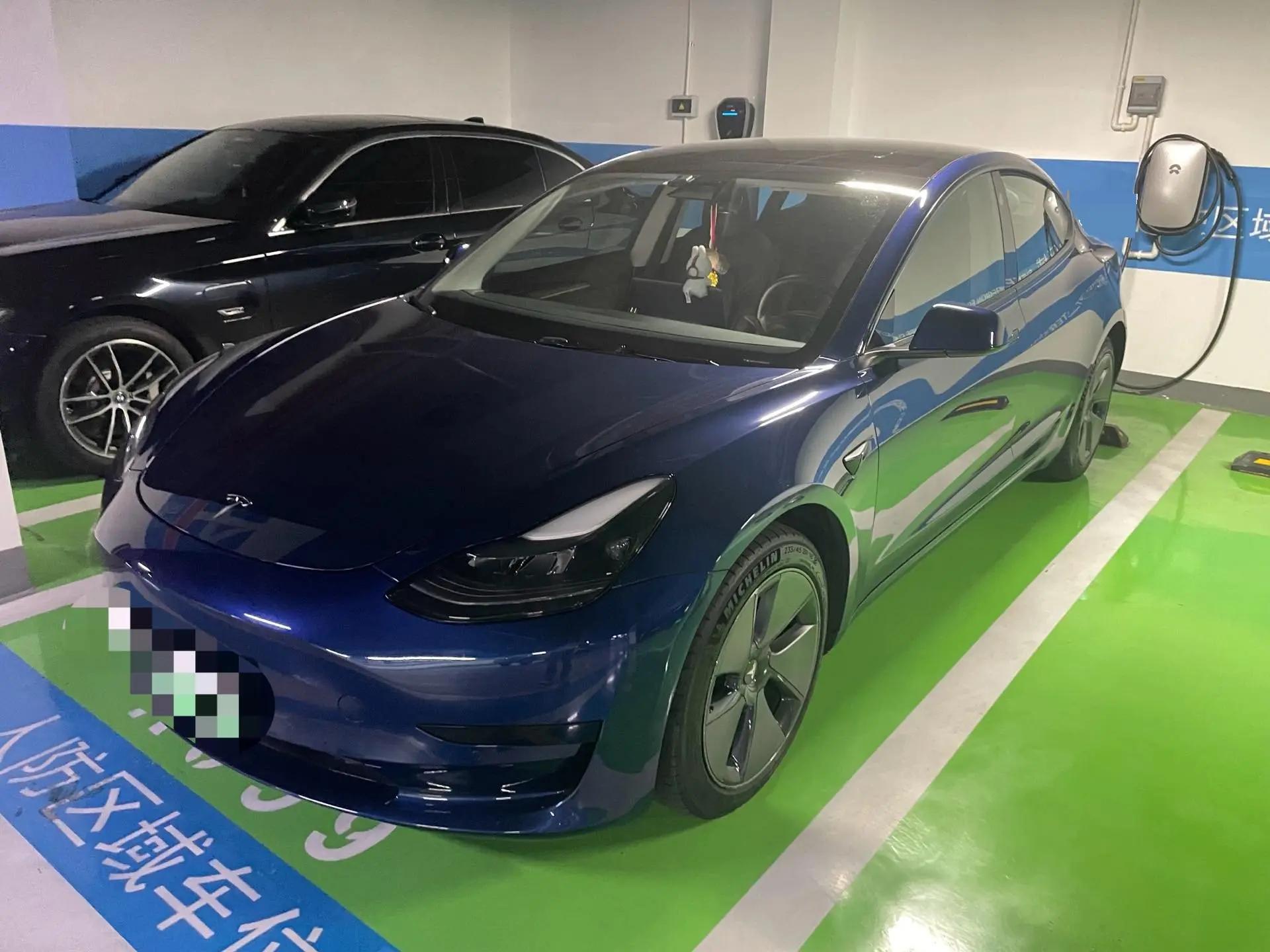 2021 Model 3 Standard Range Rear-Wheel Drive Upgrade Version
