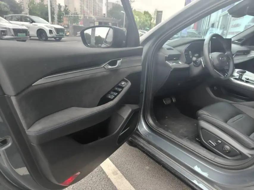 Xingrui 2024 2.0TD High Power Edition 7