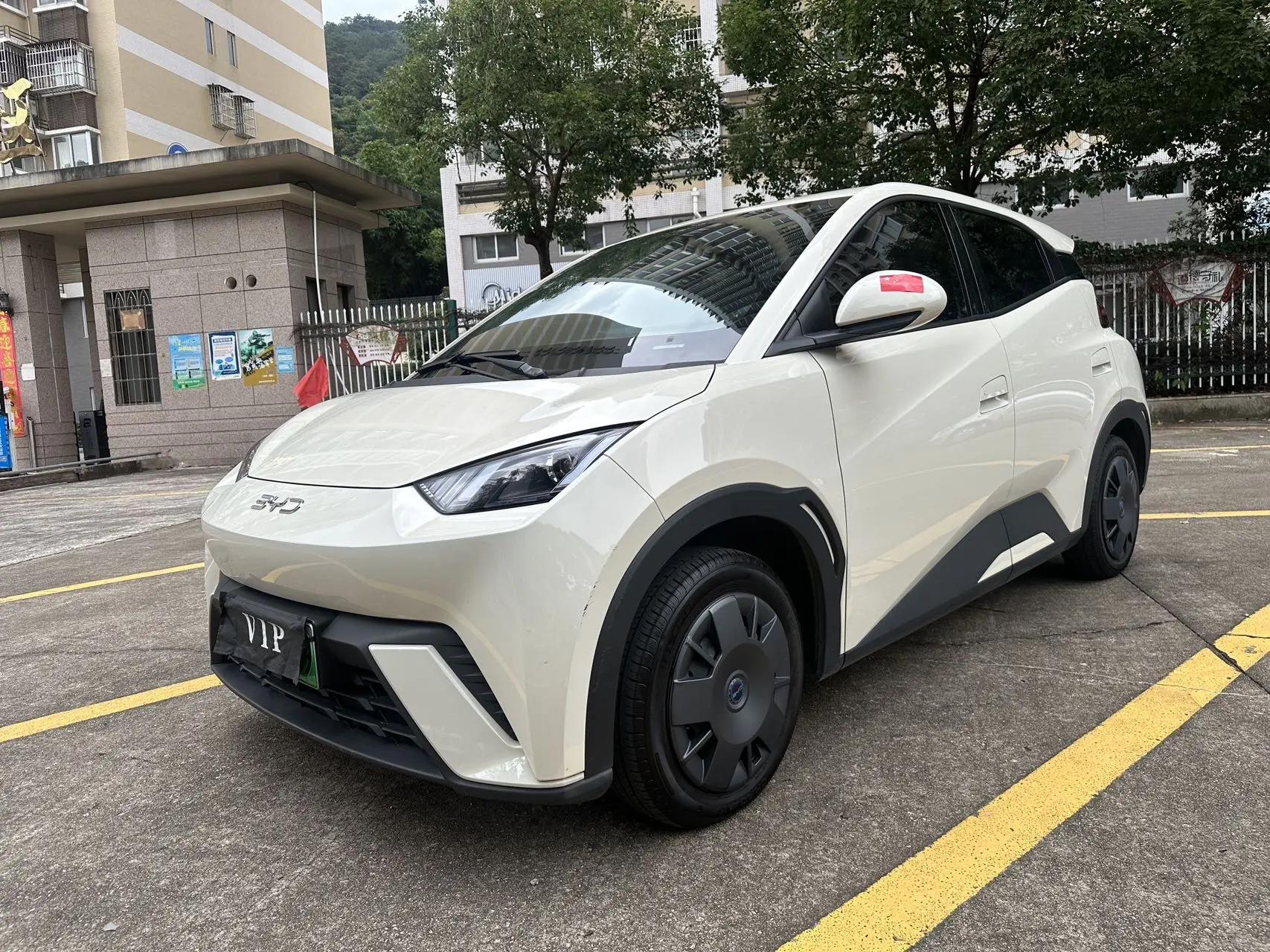 BYD 2024 Seagull Glory Edition 305km Active Version Automatic