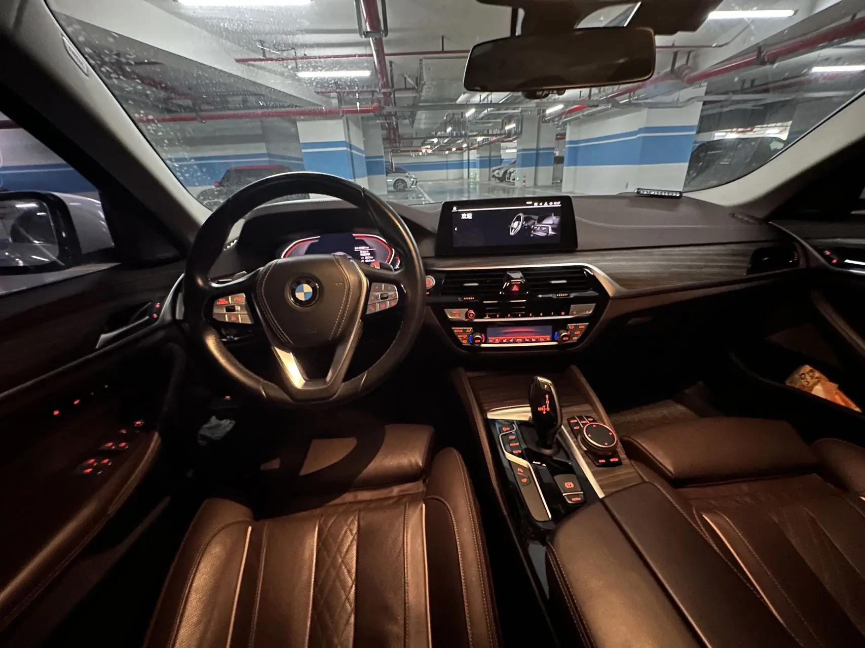 BMW 5 Series 2020 530Li Luxury Model with Luxury Package 10