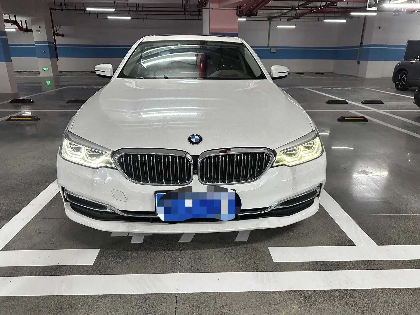 BMW 5 Series 2020 530Li Luxury Model with Luxury Package 2