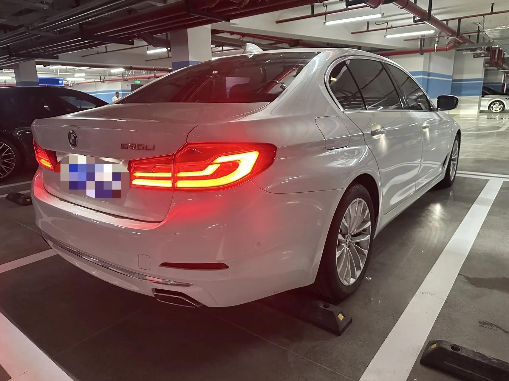 BMW 5 Series 2020 530Li Luxury Model with Luxury Package 4