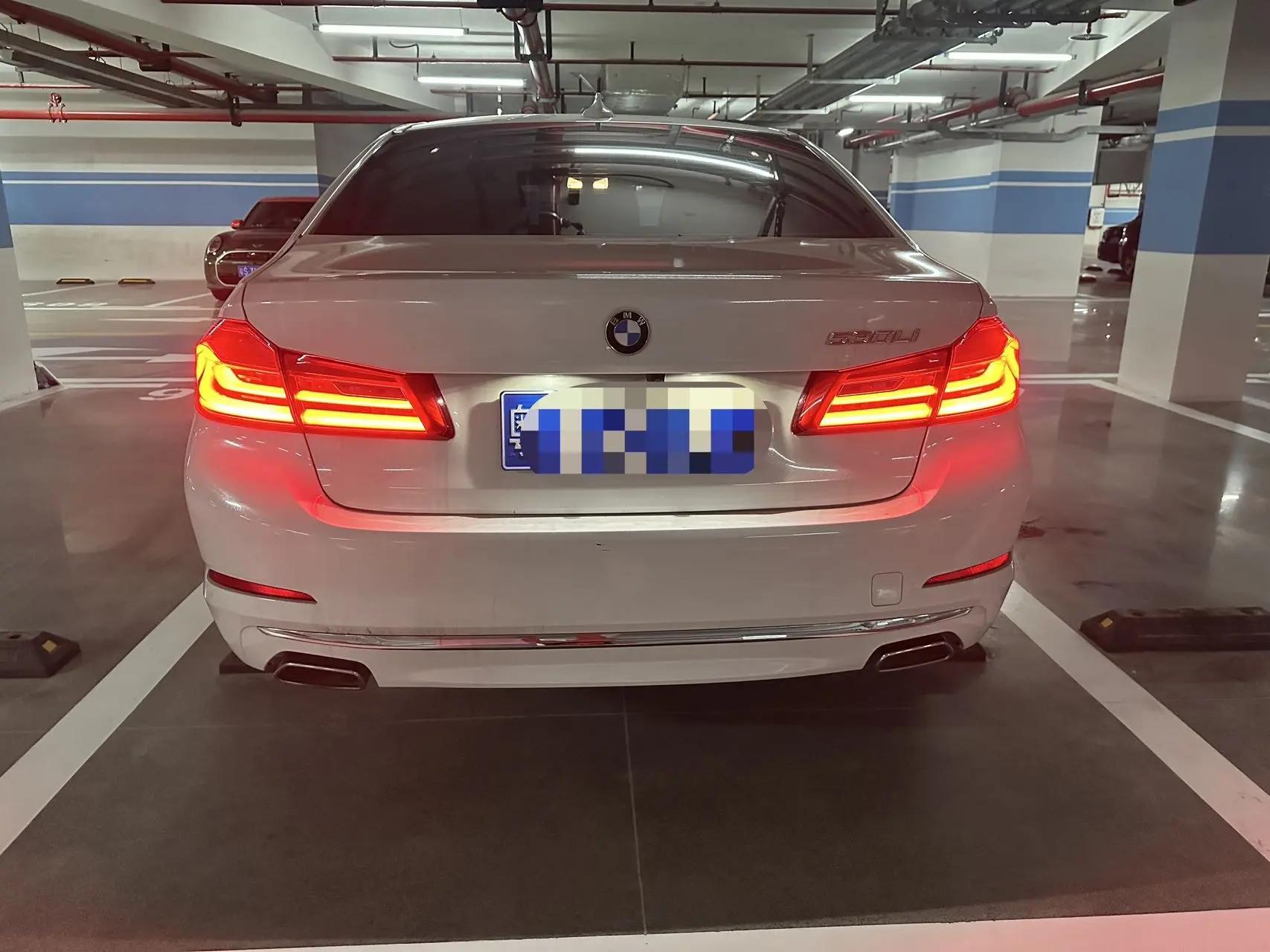 BMW 5 Series 2020 530Li Luxury Model with Luxury Package 5