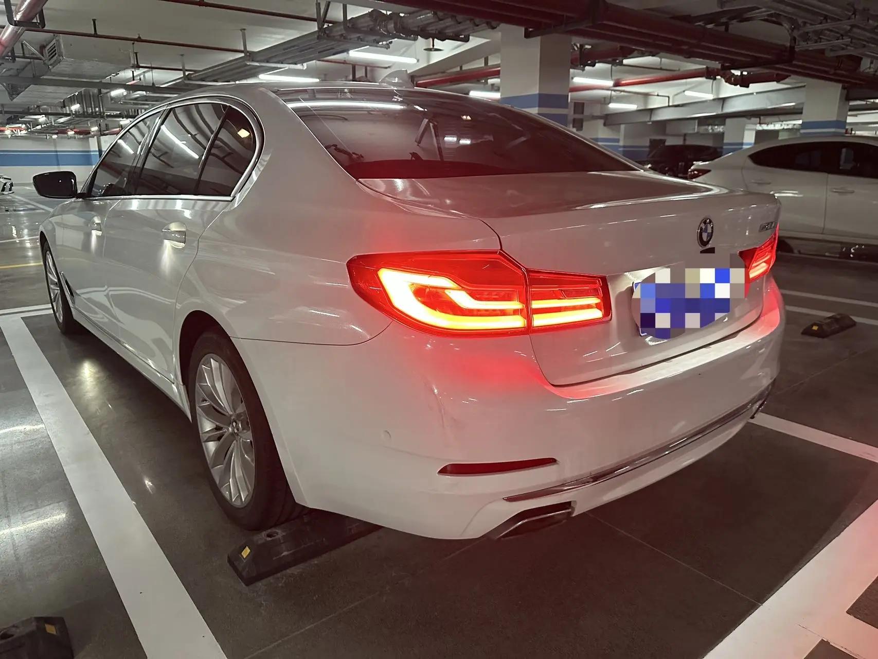 BMW 5 Series 2020 530Li Luxury Model with Luxury Package 6