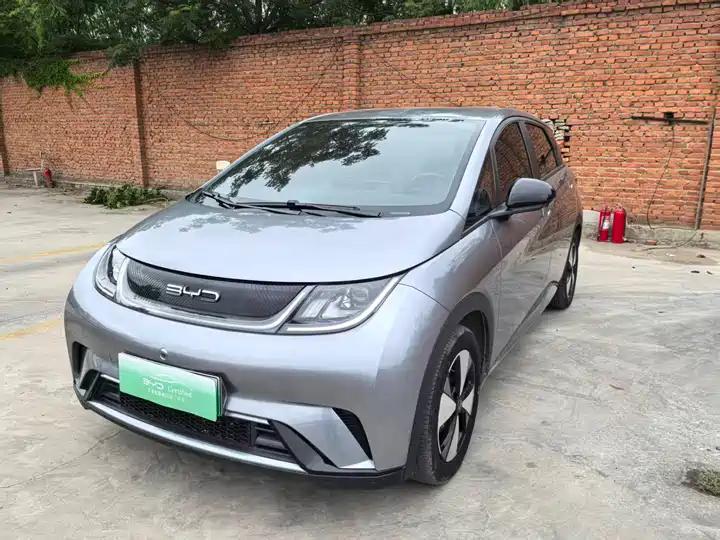 Dolphin 2023 420km Free Edition