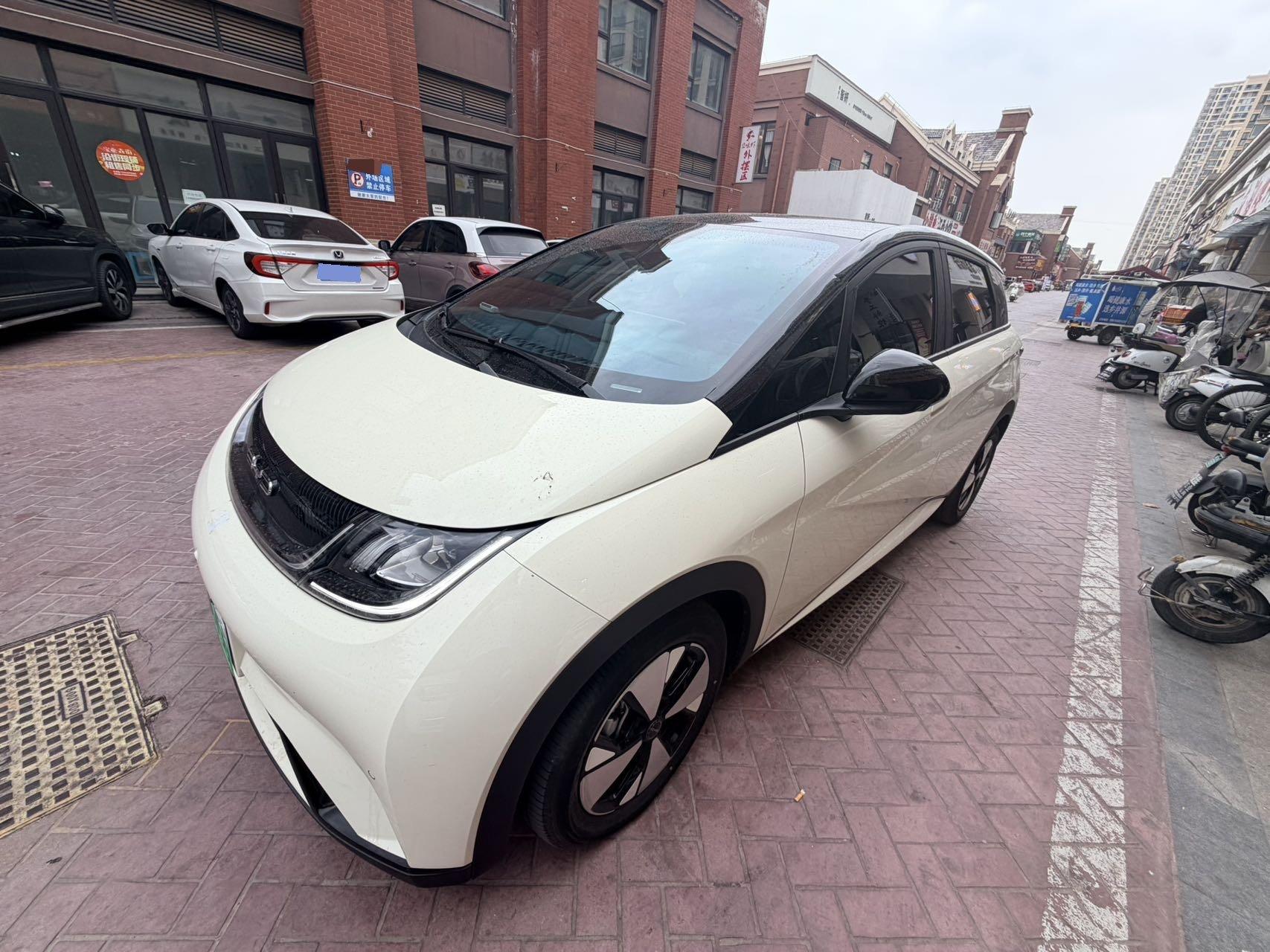 BYD 2023 Dolphin 420km Fashion Edition Automatic
