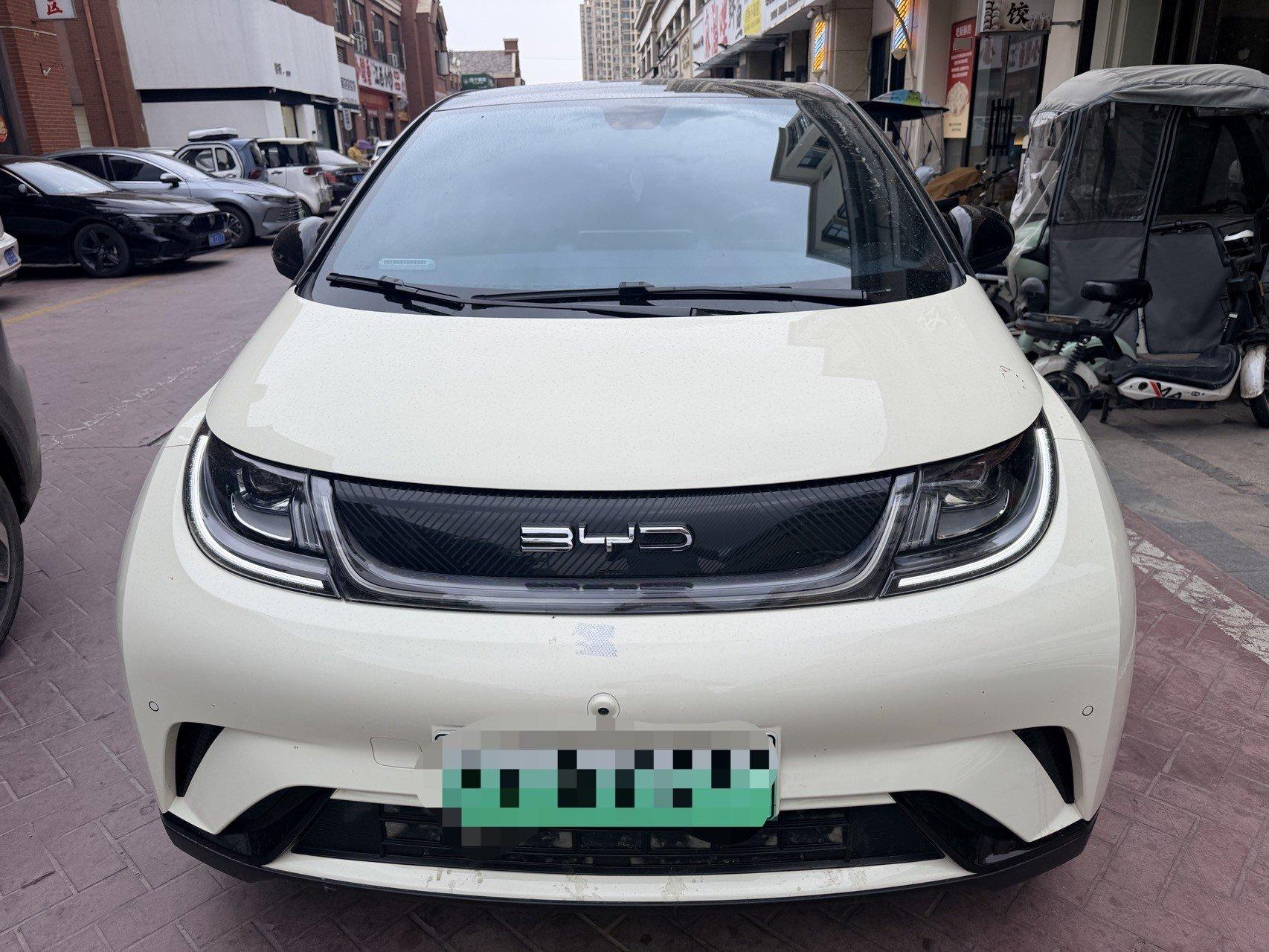 BYD 2023 Dolphin 420km Fashion Edition Automatic 3