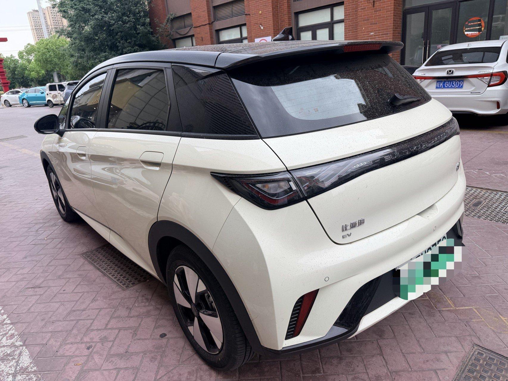 BYD 2023 Dolphin 420km Fashion Edition Automatic 8