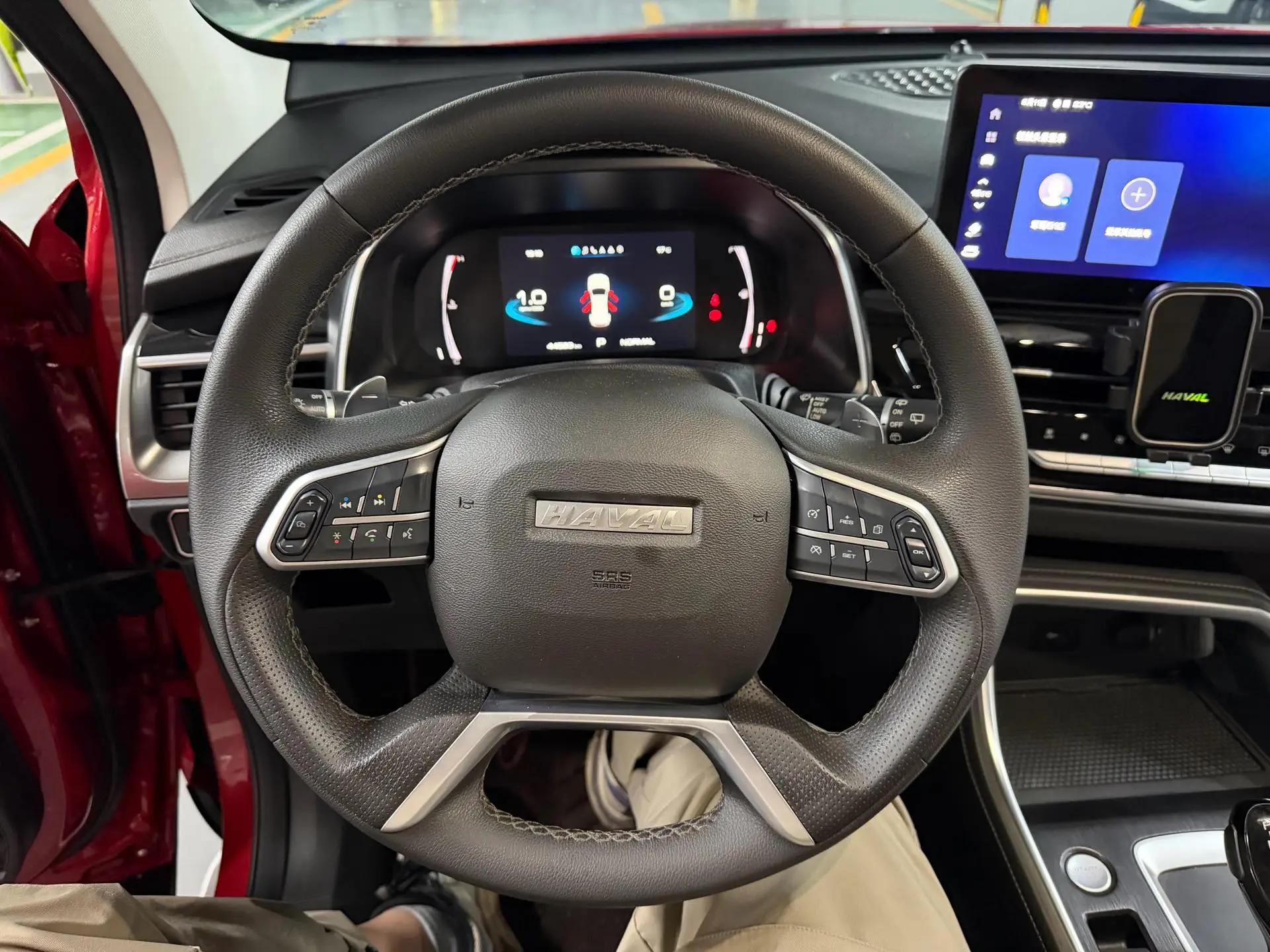 Haval H6 2021 National Tide Edition 1.5T Auto Champion Edition 11