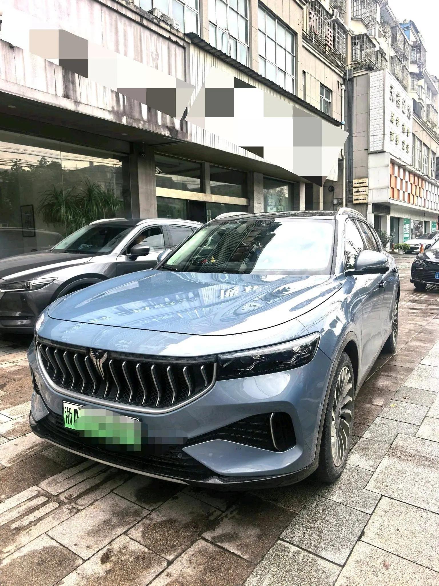 Voyah FREE 2021 4-wheel drive extended range exclusive luxury package