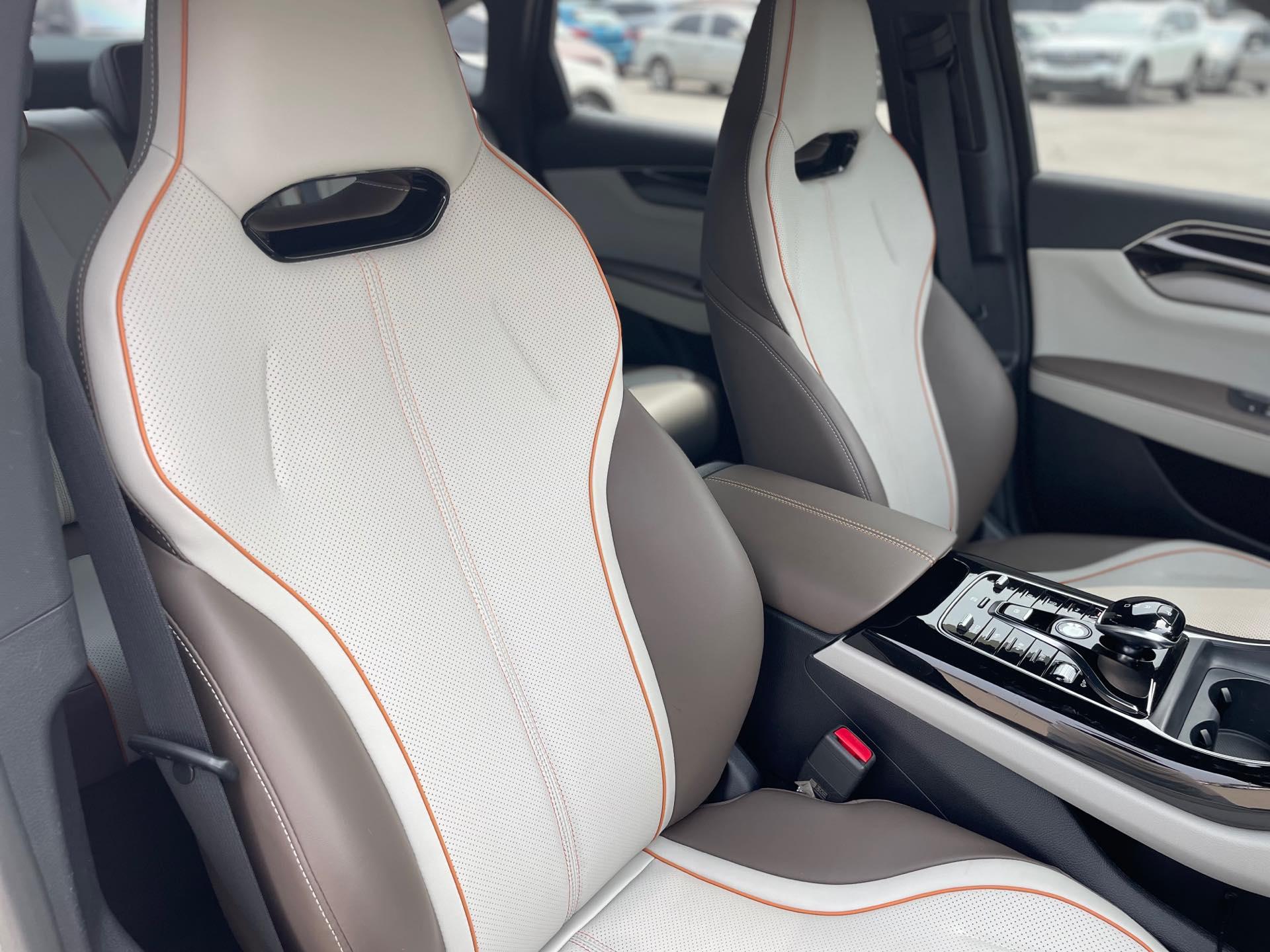 Qin PLUS 2021 DM-i 120KM Honorable Model 10