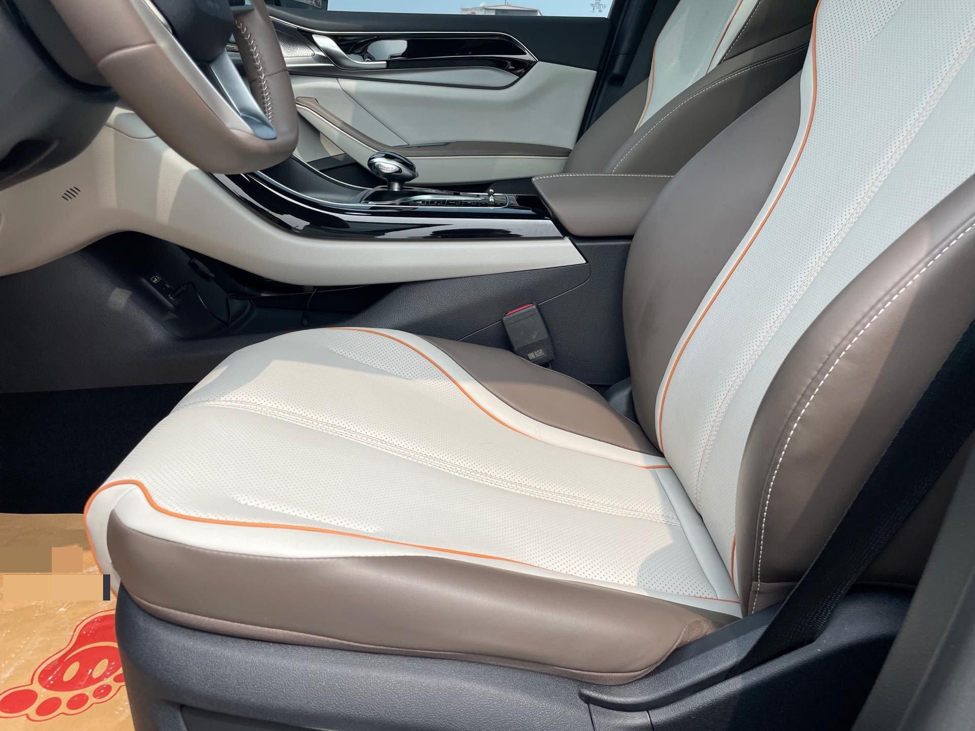 Qin PLUS 2021 DM-i 120KM Honorable Model 19